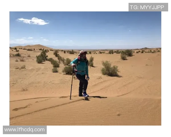 深度探讨吴秀英在DOTA2世界中的成长与挑战之旅